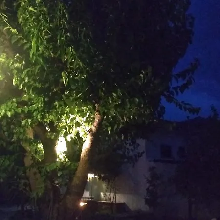 Kalama Kalamos (Thessaly)